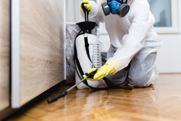 Best Best Pest Control Companies  in New London, MN