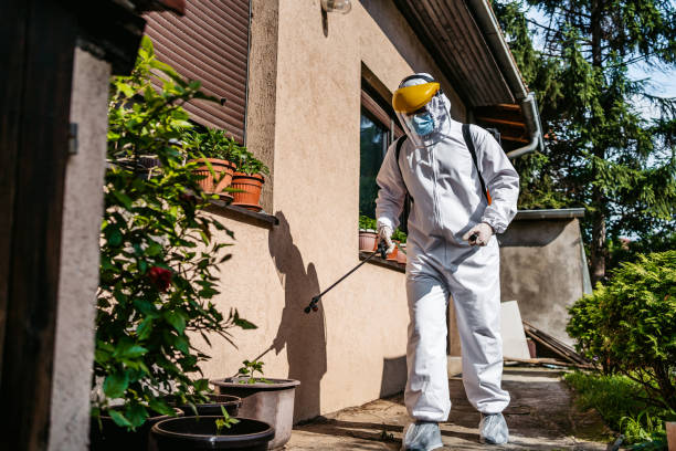 Best Bed Bug Extermination  in New London, MN
