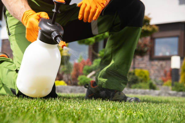 Professional Pest Control in New London, MN