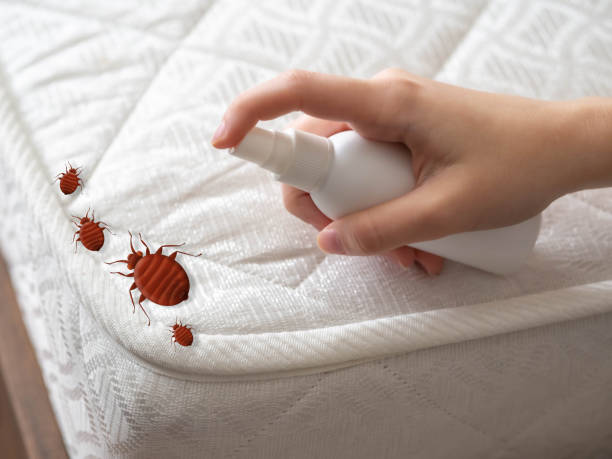Best Pest Prevention Services  in New London, MN